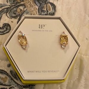 BP Earrings